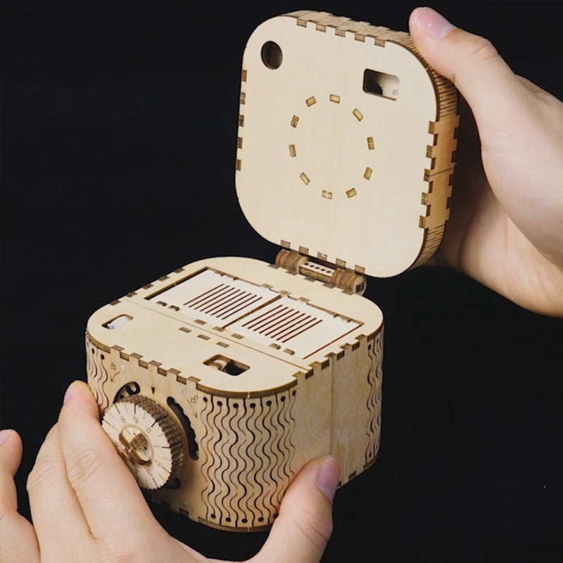 Treasure Box 3D Classic Wooden Puzzle